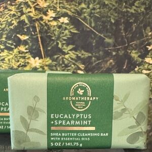Bath & Body Works 2 Aromatherapy Eucalyptus Spearmint Shea Butter Cleansing Bar